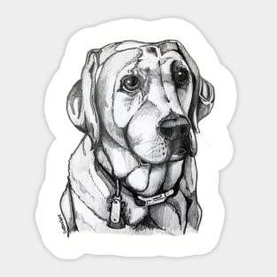 Labrador Sticker